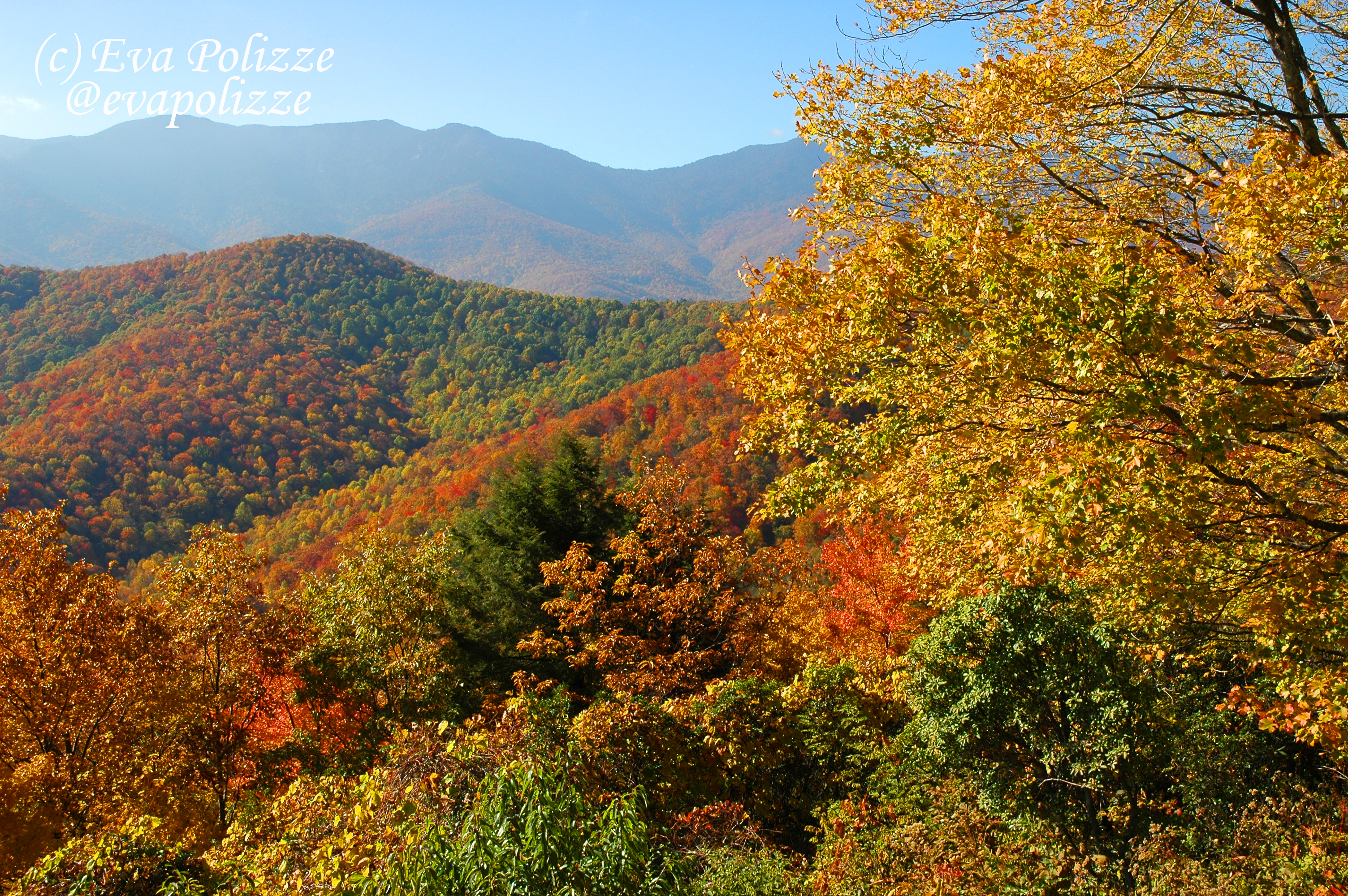 GREAT SMOKY MOUNTAINS – The Smoky Mountain Cabins